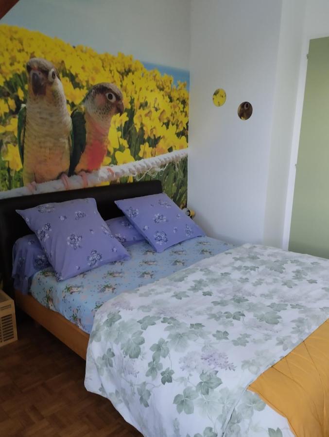 Chambres D'Hotes Du Clos Du Roi 蓬托尔松 外观 照片