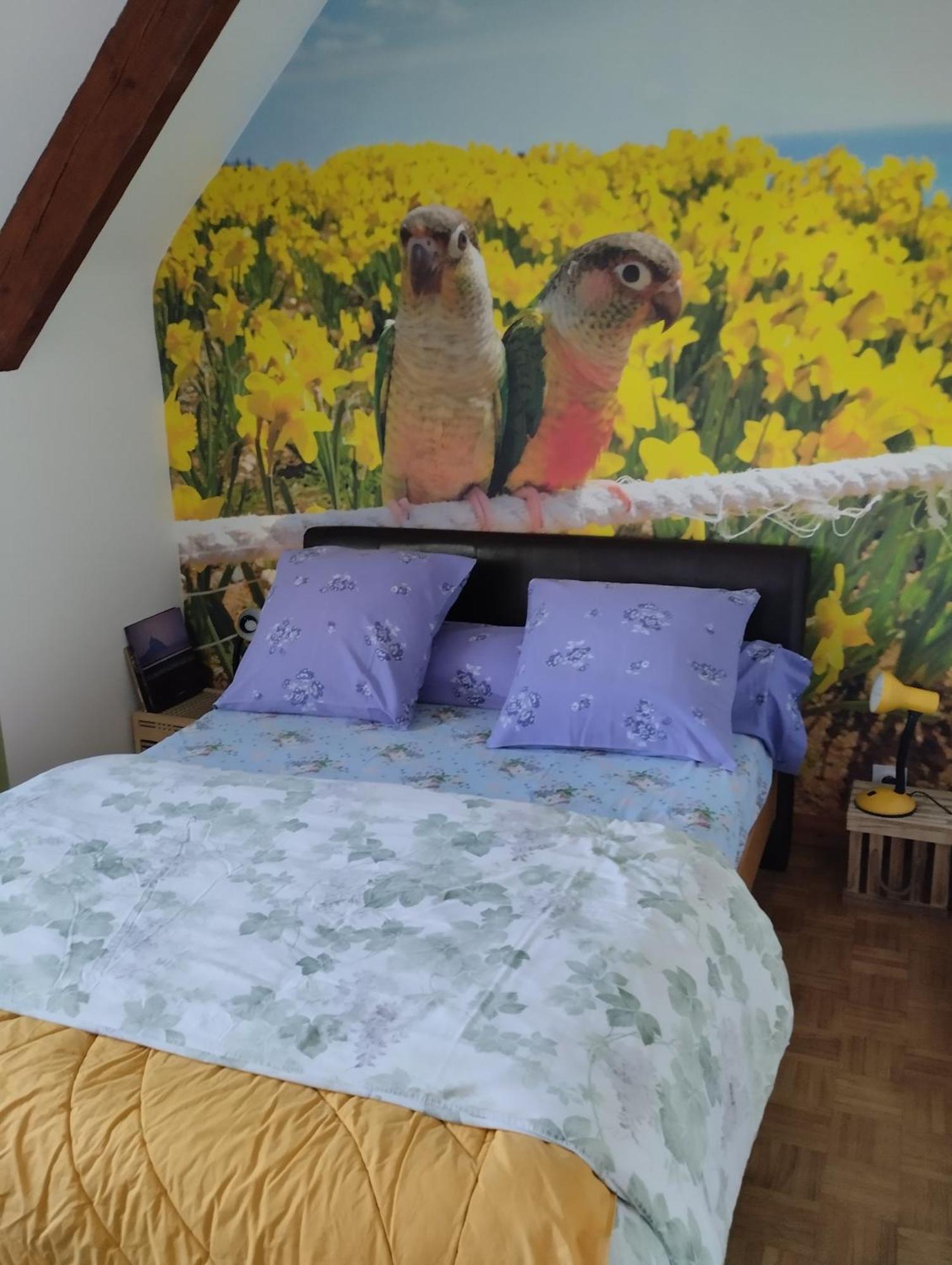 Chambres D'Hotes Du Clos Du Roi 蓬托尔松 外观 照片